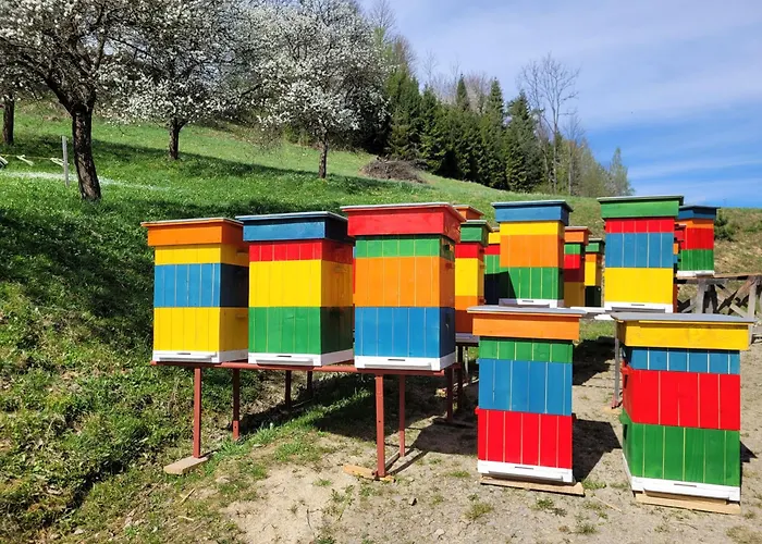Stary Dom Z Piwnica Krynica Zdroj